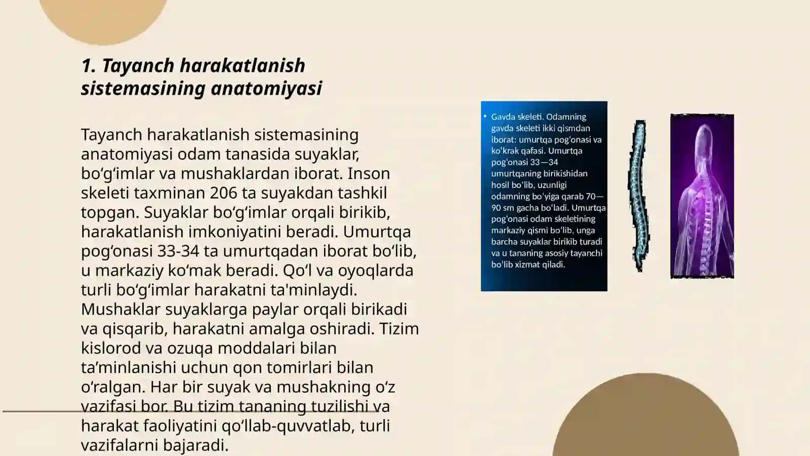 Tayanch harakatlanish sistemasining anatomiyasi 3