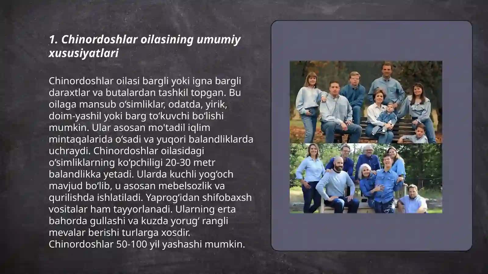 Chinordoshlar oilasi 3