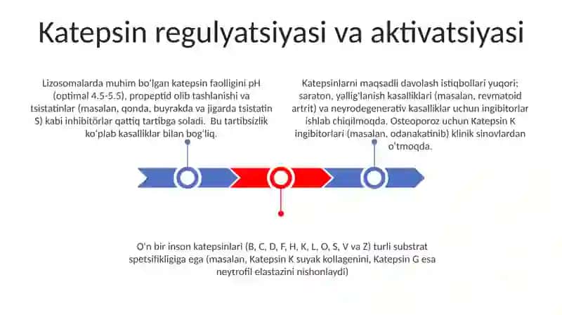 Katepsinlar.ularning klinik ahamiyati 3