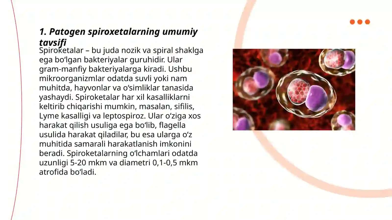 Patogen spiroxetalarning biologik xususiyati 3