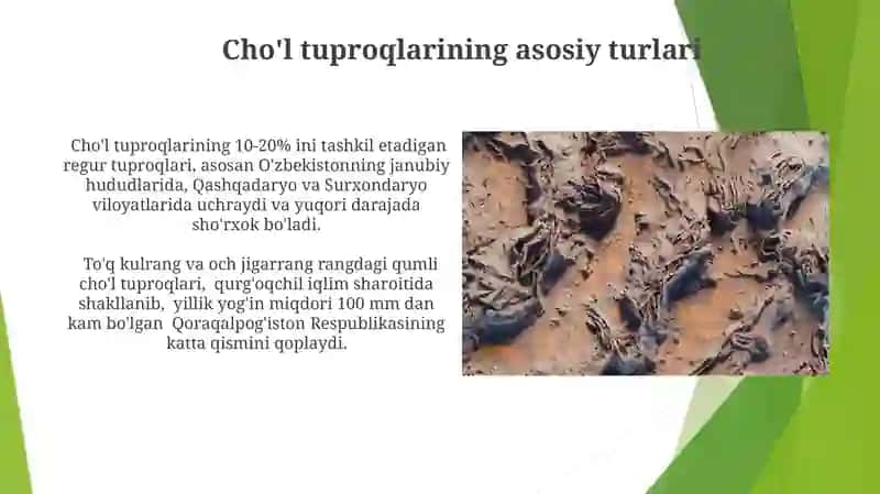 Cho'l tuproqlarining asosiy turlari 3