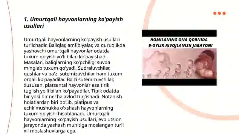 Umurtqali hayvonlarning ko'payish usullari 3
