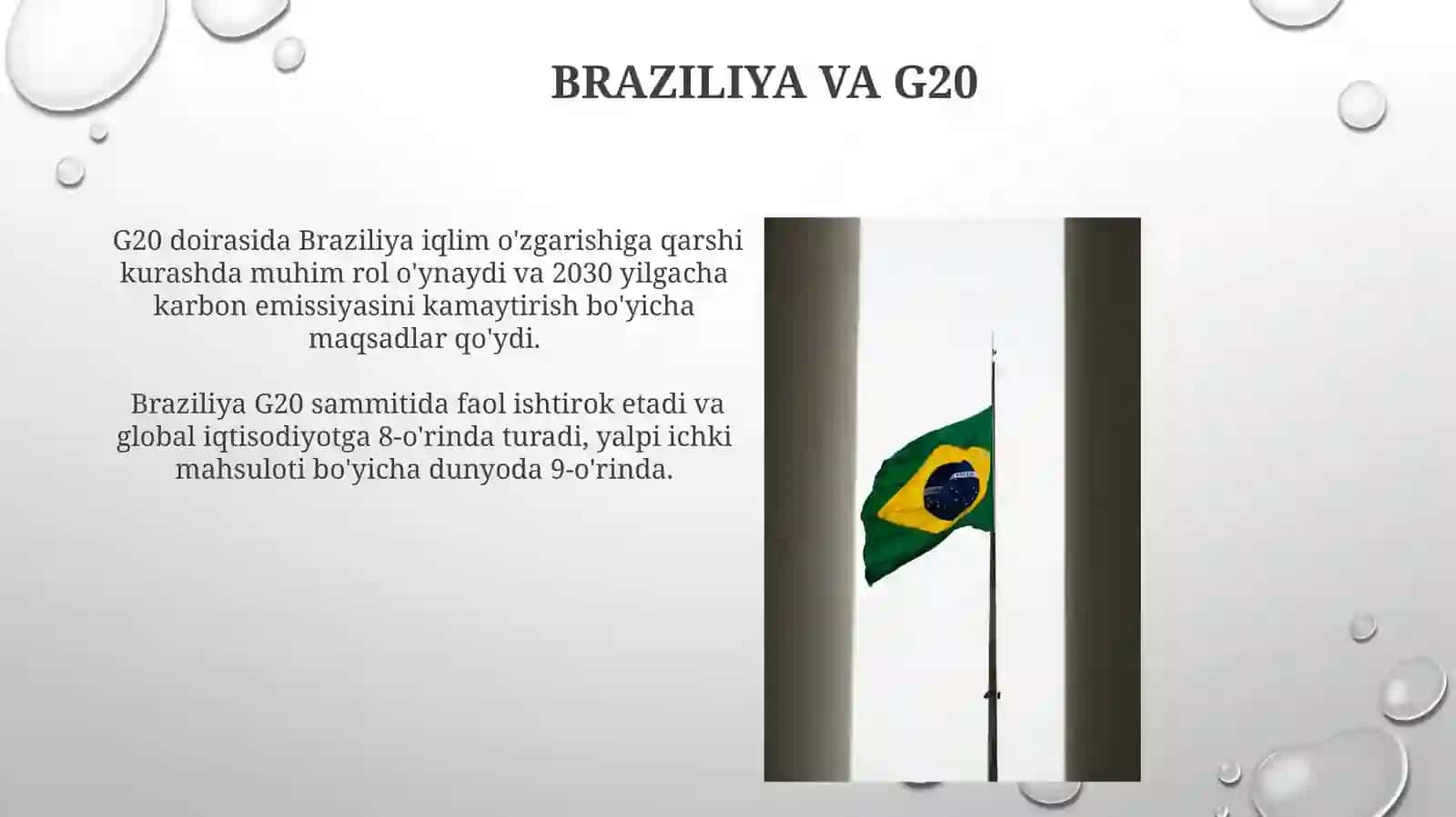 Braziliya va G20 3