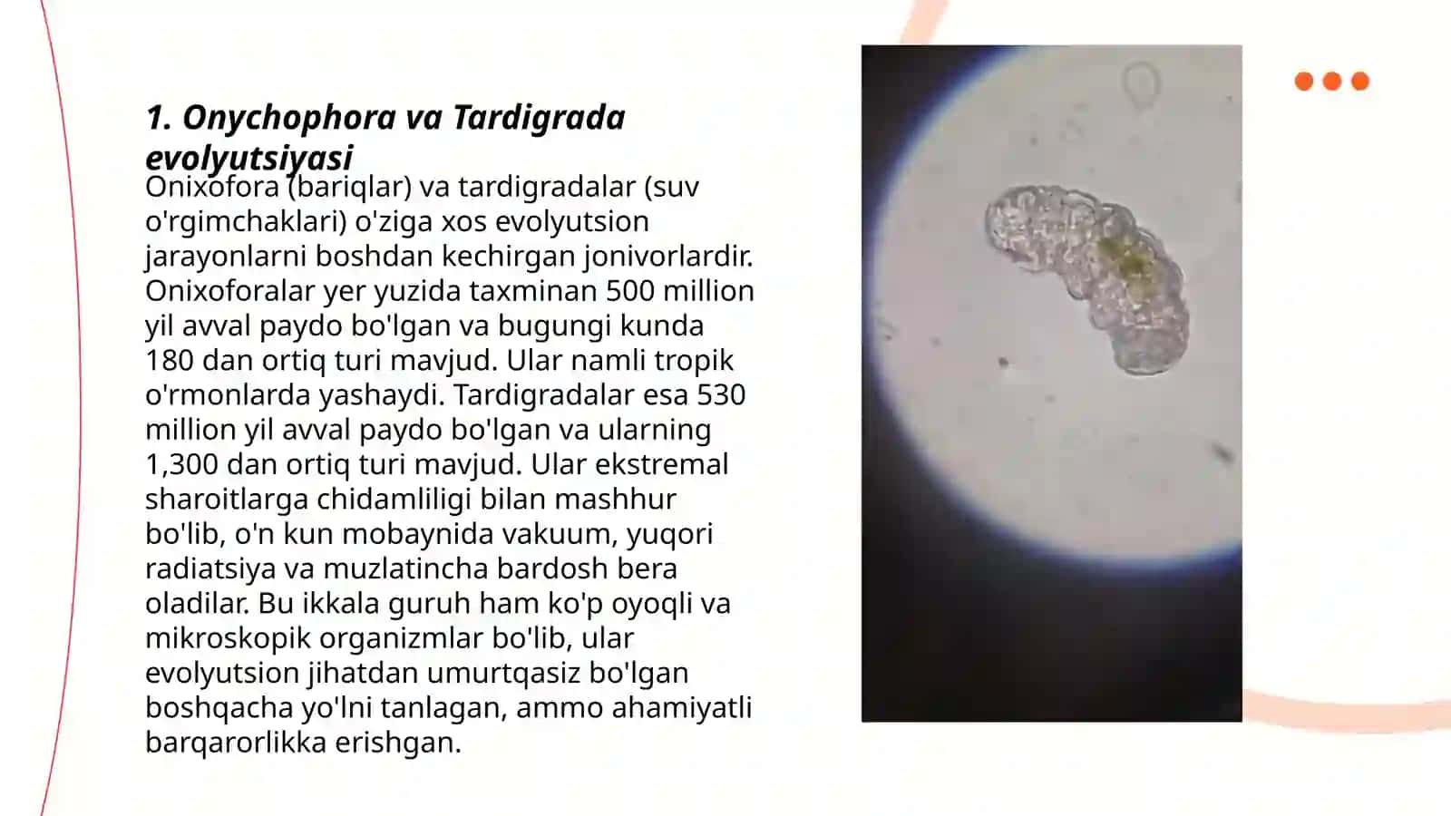 Onychophora va Tardigrada tiplari 3