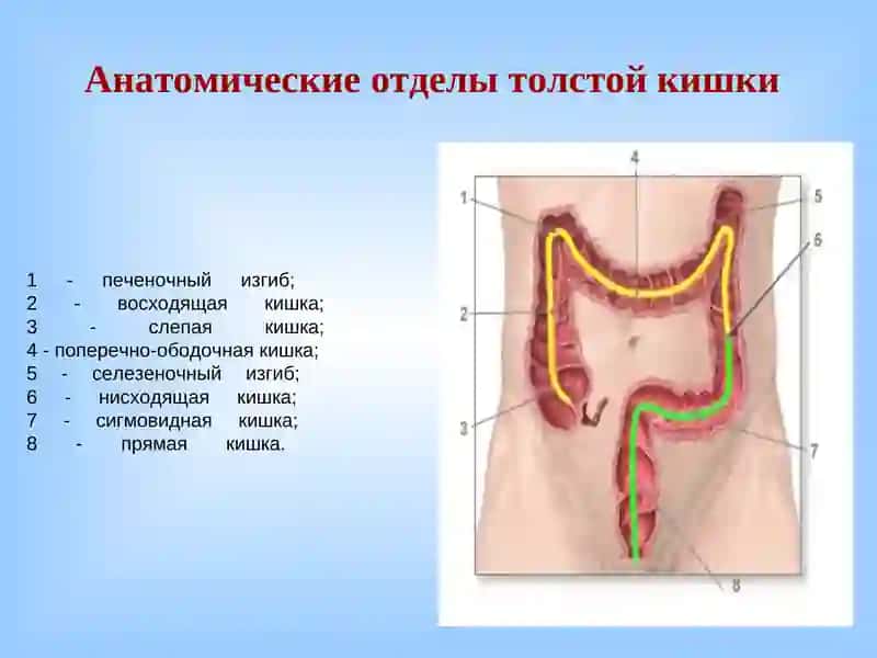 Заболевания толстого кишечника 3