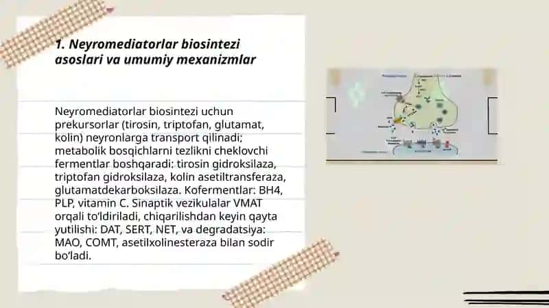 Neyromediatorlar biosintezi ahamiyati va kasaliklari 3