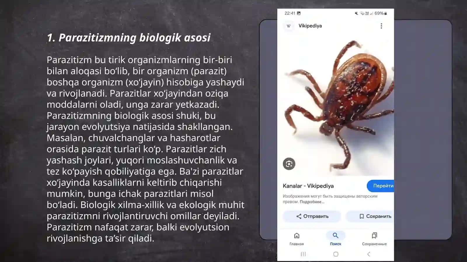 Parazitizmning kelib chiqishi 3