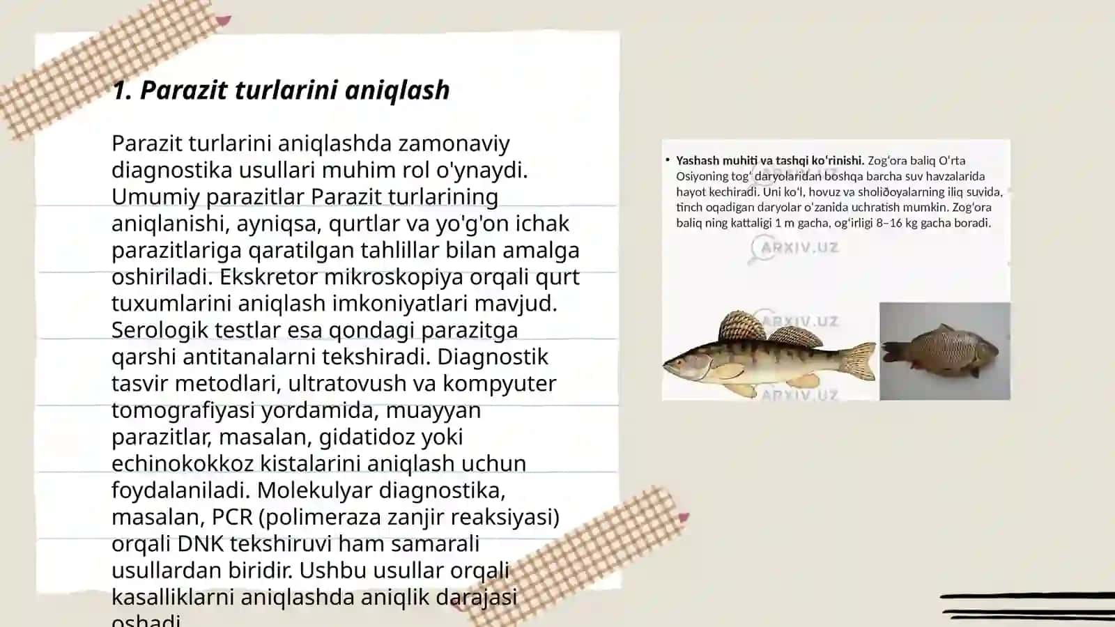 Parazit turlarini aniqlash 3
