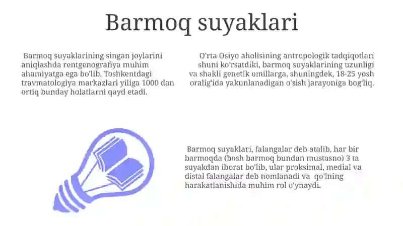 Barmoq suyaklari 3