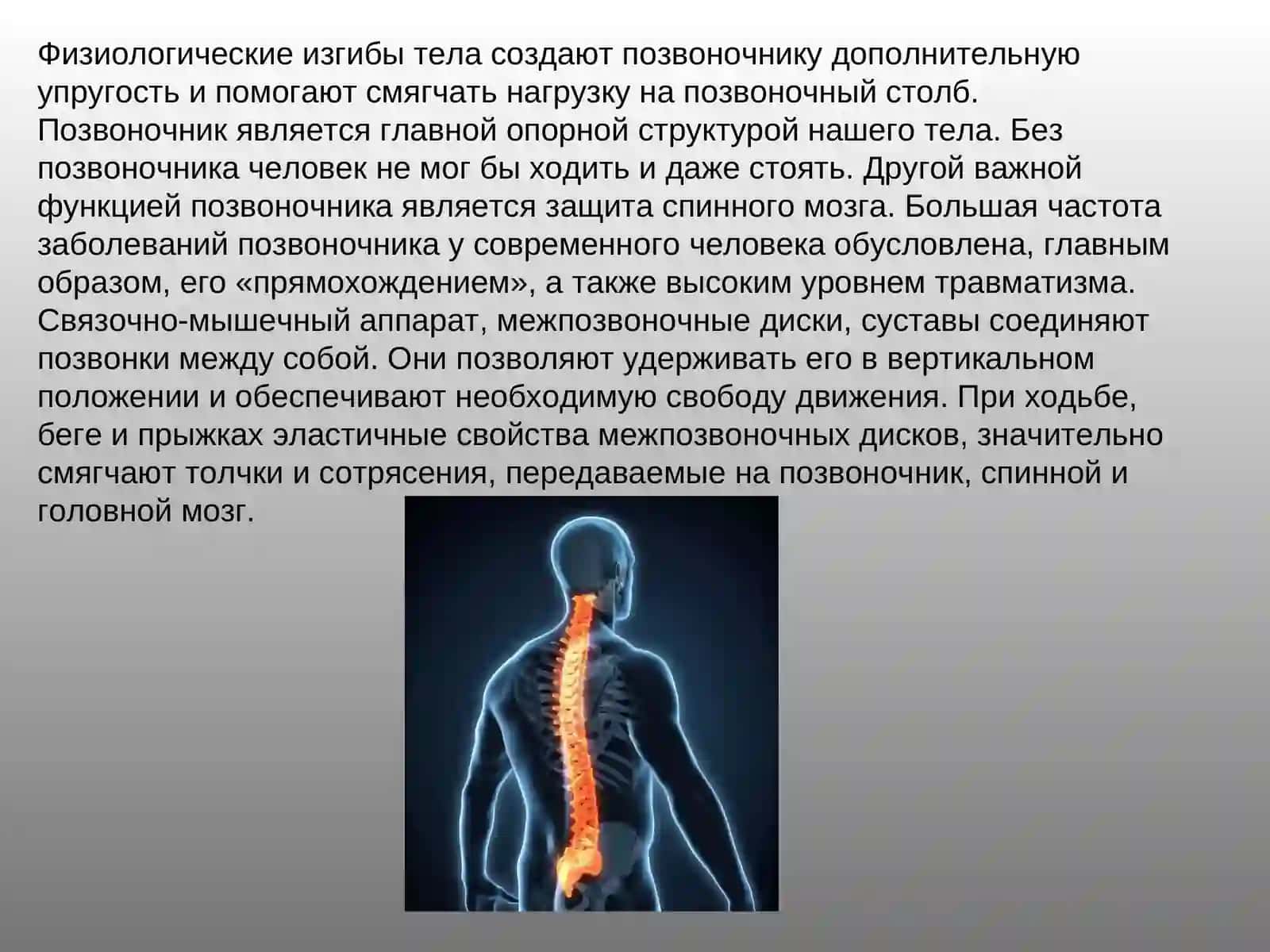 Позвоночник 3