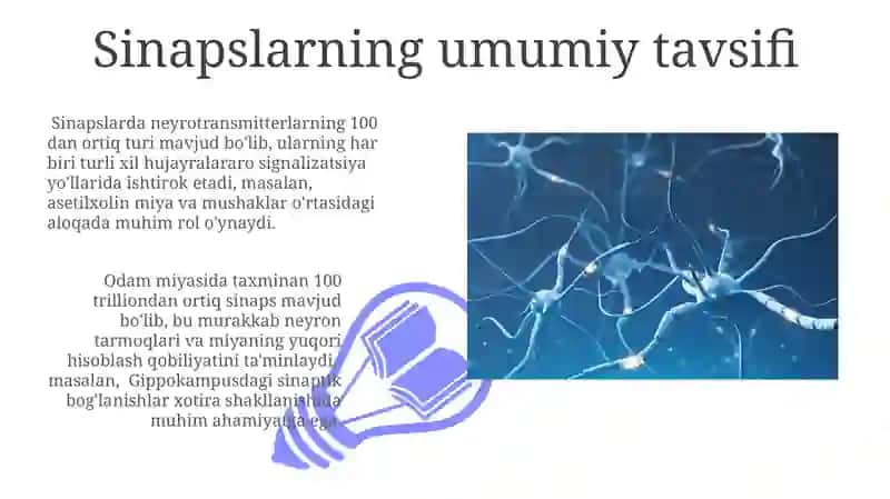 Sinapaslar va ularning klassifikatsiyasi 3