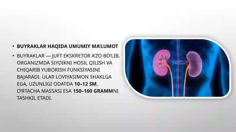 Buyrak kasalliklarida klinik laborator ko`rsatkichlar 3