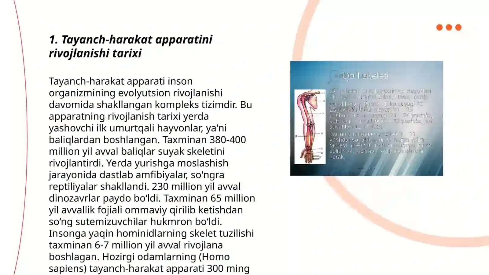 Tayanch-harakat apparatini rivojlanishi tarixi 3
