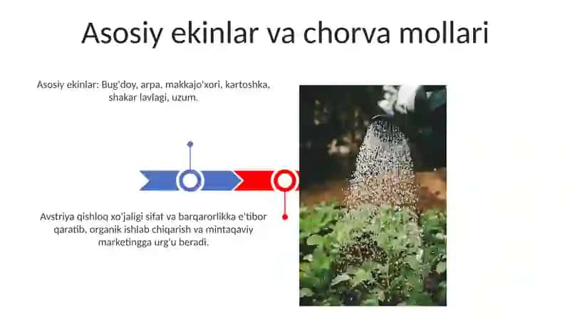 Avstriya qishloq xo'jaligi 3