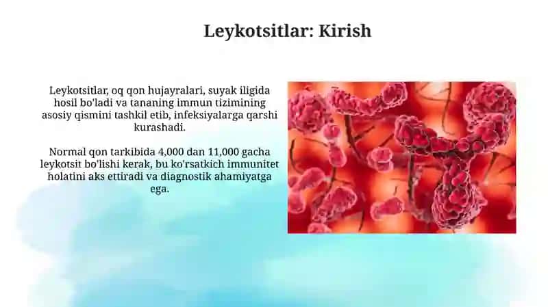 Leykotsitlar va ularning vazifalari 3