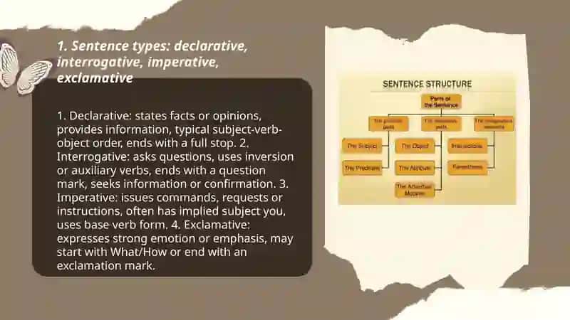 The Structure and Function of the Sentence in English 3