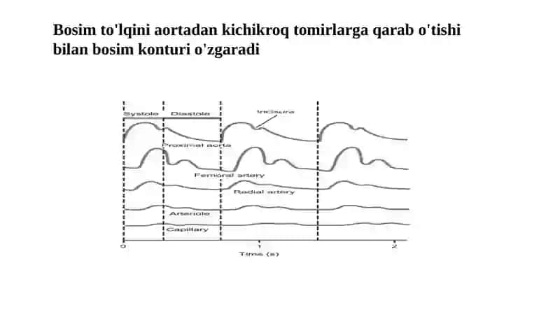 Qon bosimi monitorlari 3