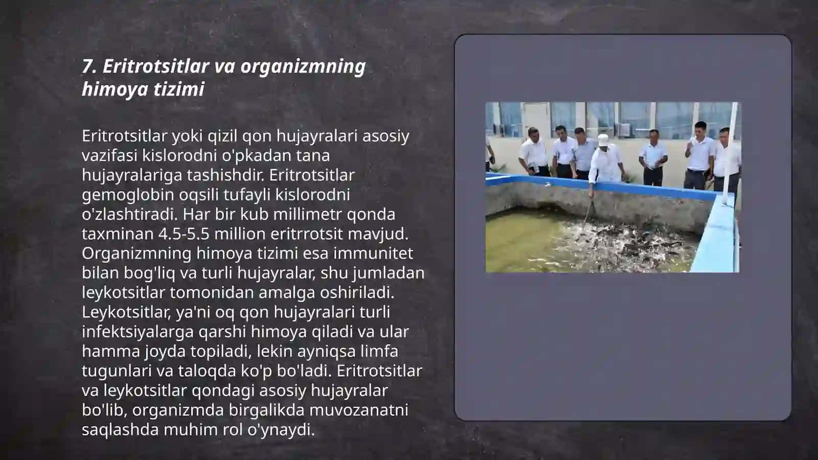 Eritrotsitlar va organizmning himoya tizimi 3