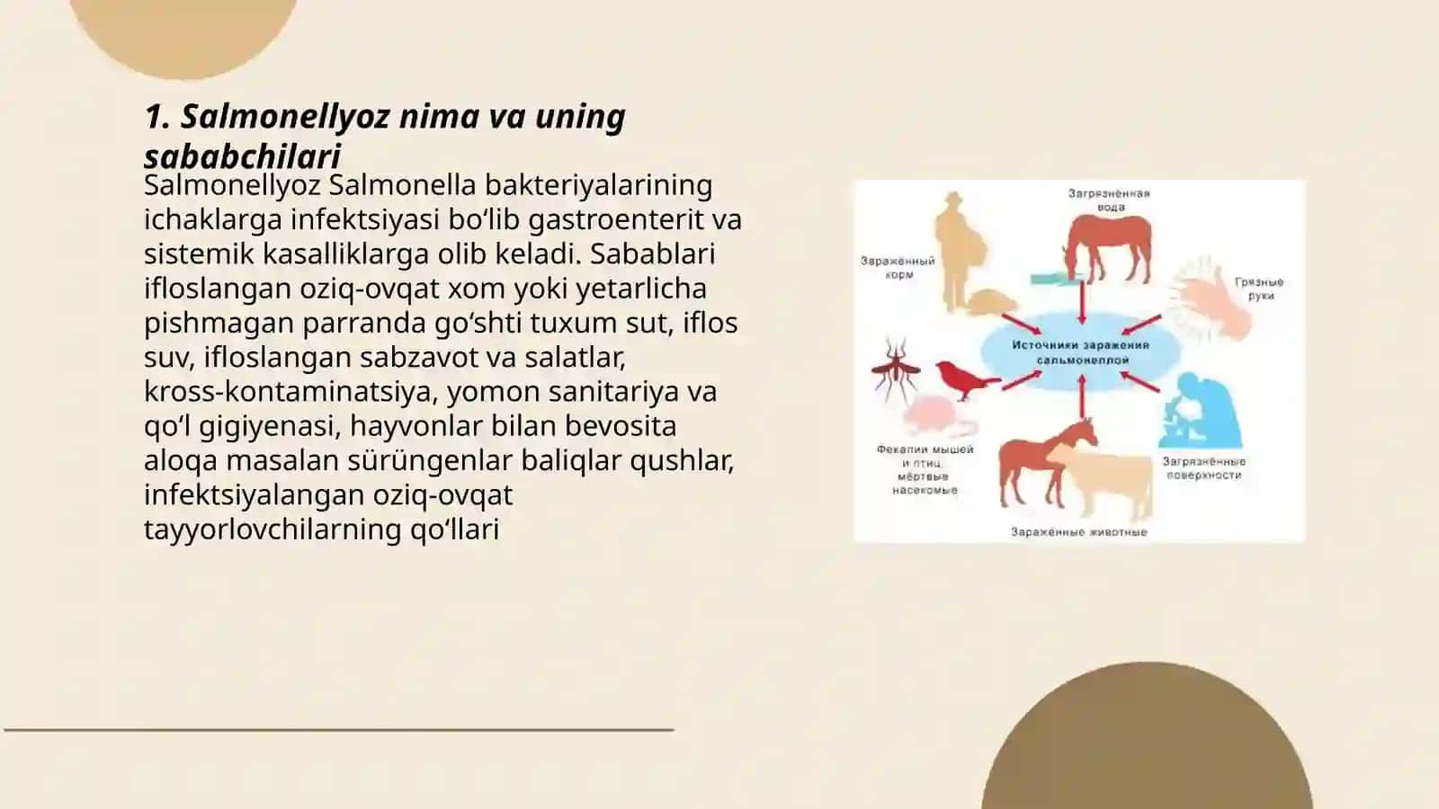 Salmonellyoz — alomatlari, asoratlari, tashxislash, davolash va oldini olish 3