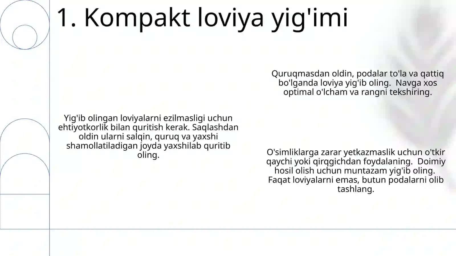 Kompakt fazolar 3