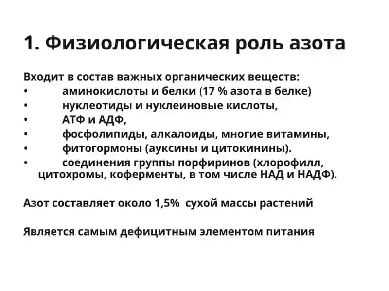 Азотное питание растений 3