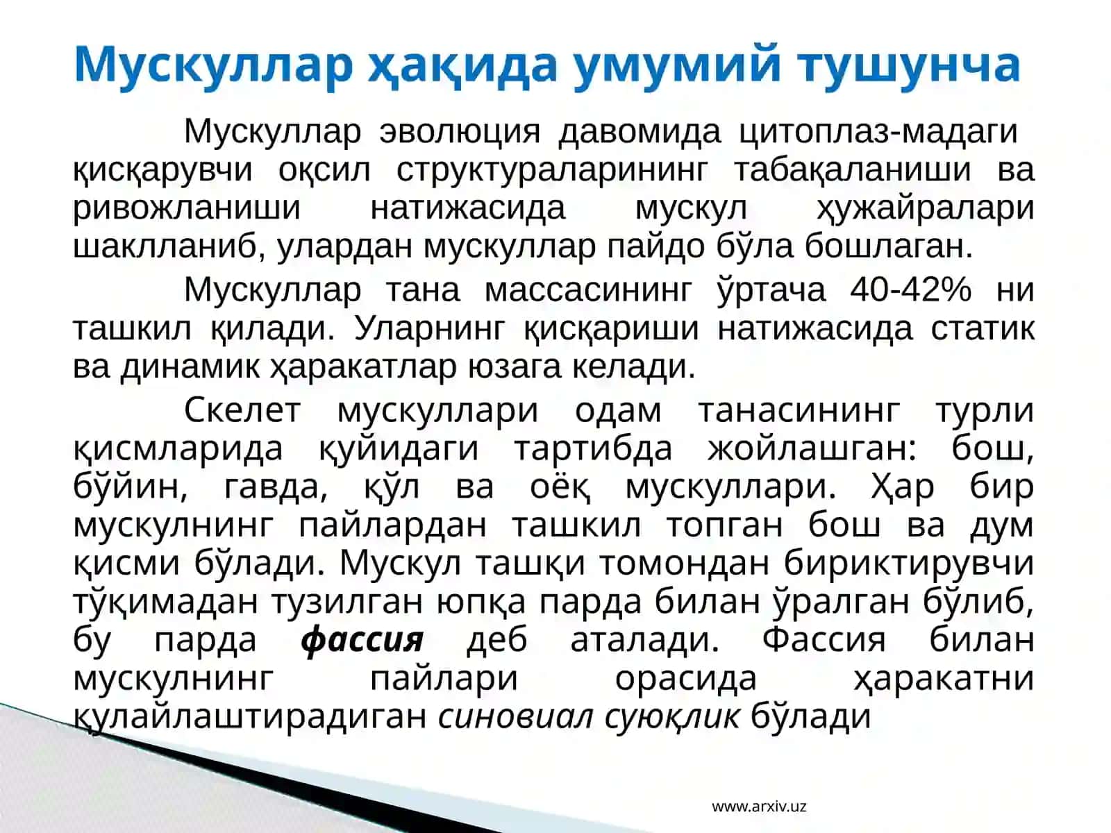 Musqullarning tuzilishi, vazifalari va ahamiyati 3
