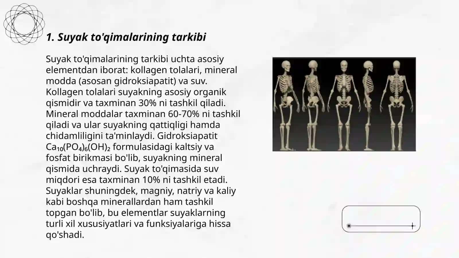 Osteologiya toʻgʻrisida maʼlumot. Suyaklar tuzilishi va vazifasi 3