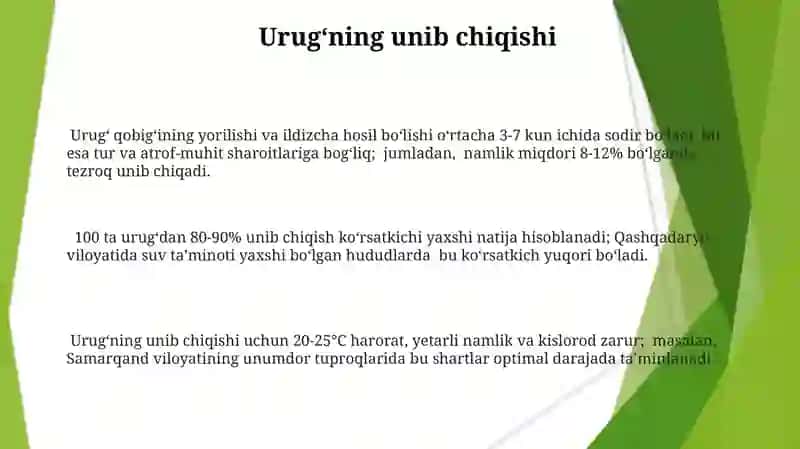 Urugʻkurtakning qismlarining tuzilishi 3
