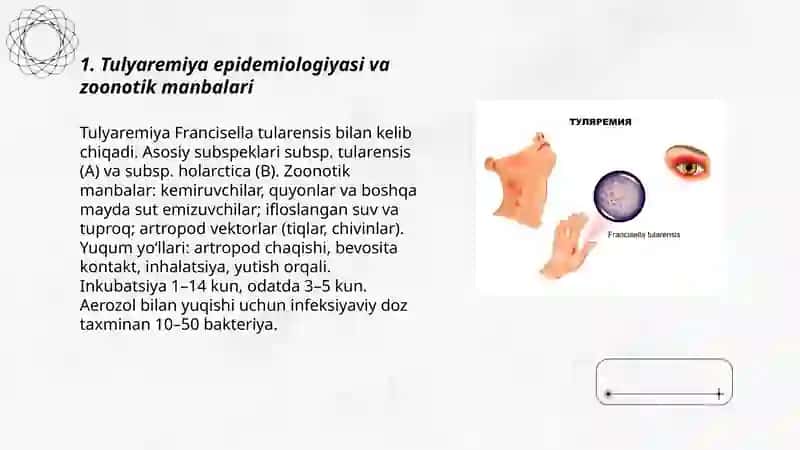 Tulyaremiya infeksiyalar haqida tadqiqotlar 3