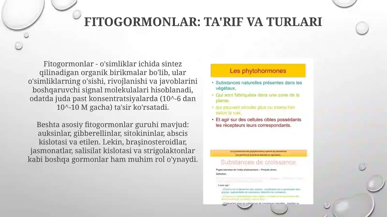 Fitogormonlar 3