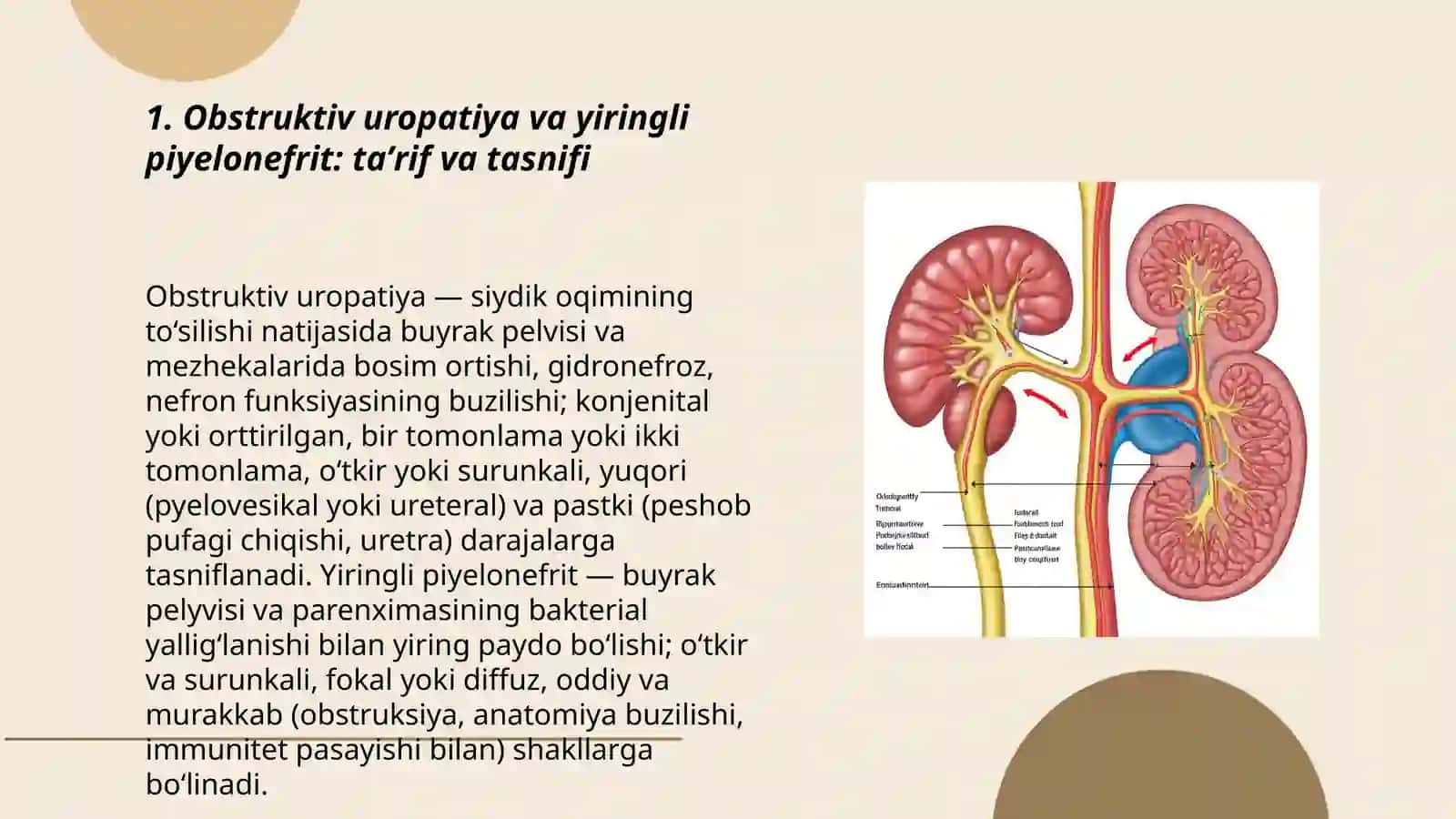 Obstruktiv uropatiya va yiringli piyelonefrit: taʼrif va tasnifi 3
