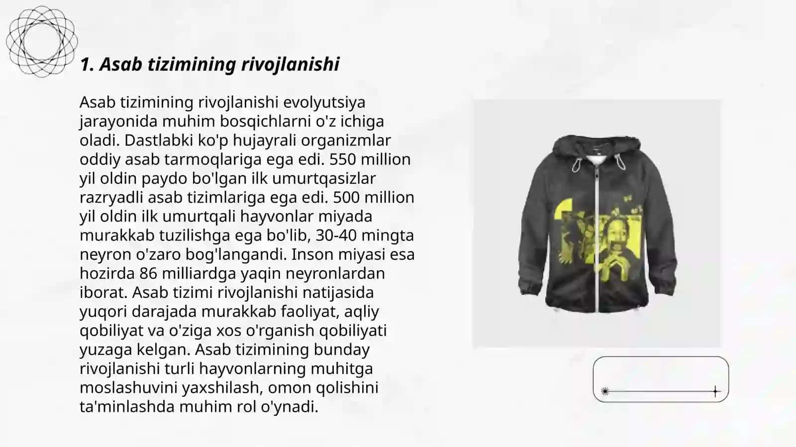 Asab tizimining ontogenezi 3