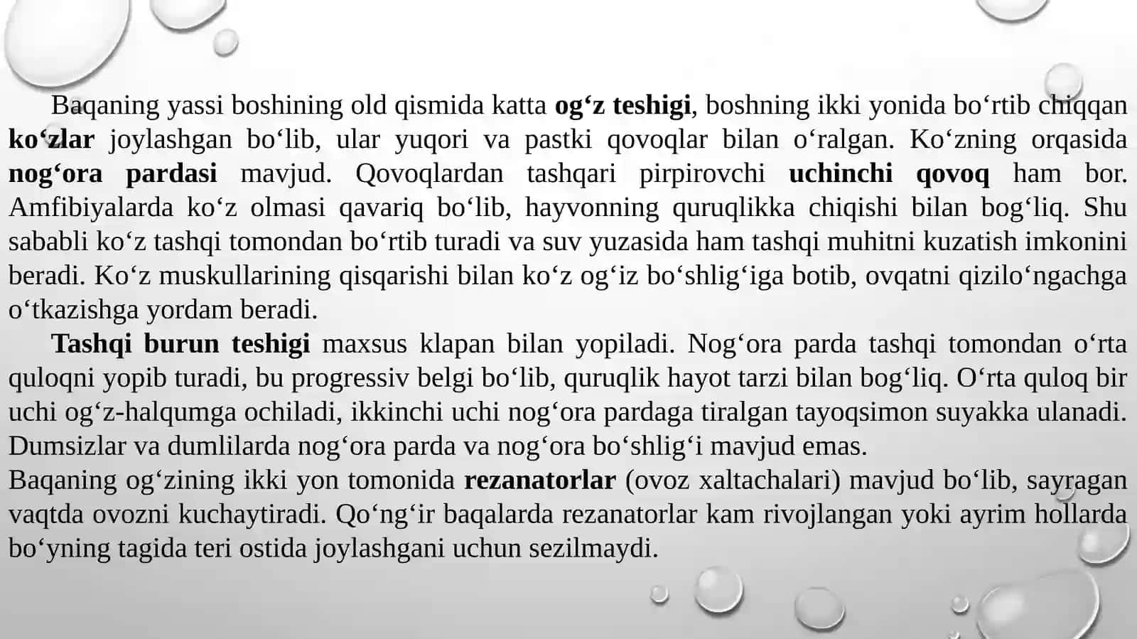 Ko’l baqasining skeleti va teri qoplami 3