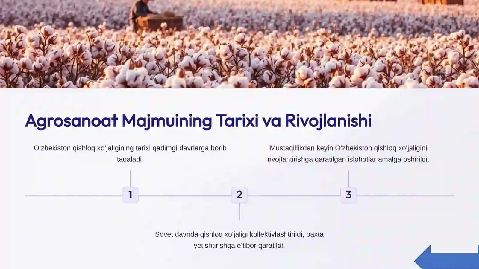 Agrosanoat Majmui Taraqqiyoti 3