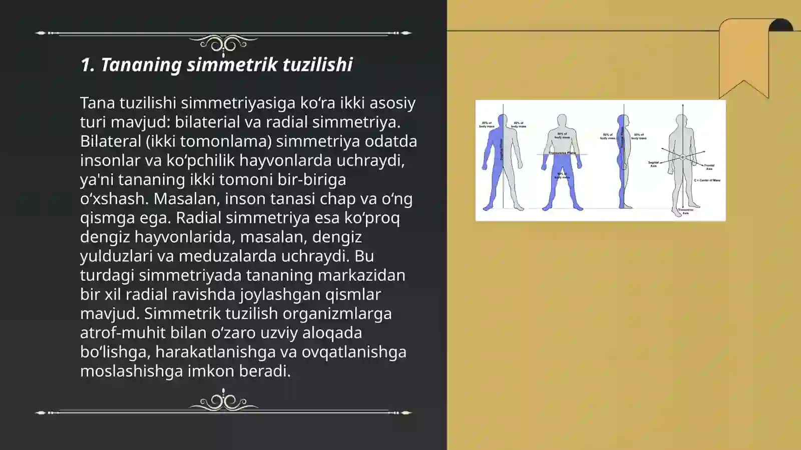 Tananing simmetrik tuzilishi 3