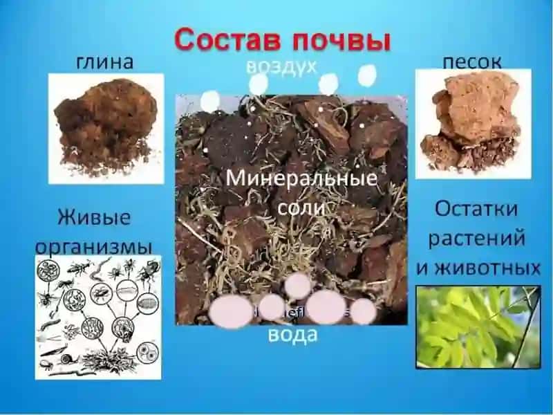 Тuproqlar haqida tushuncha 3