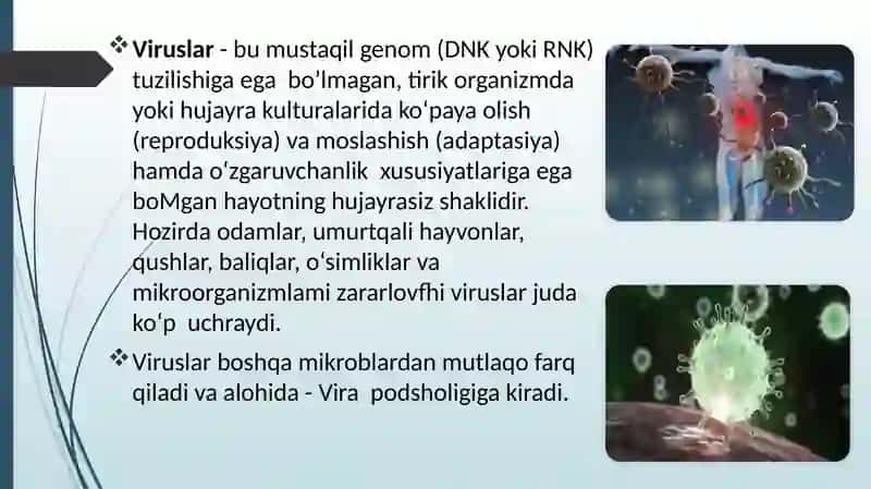 Viruslarning gen muhandisligida qo`llanilishi. 3