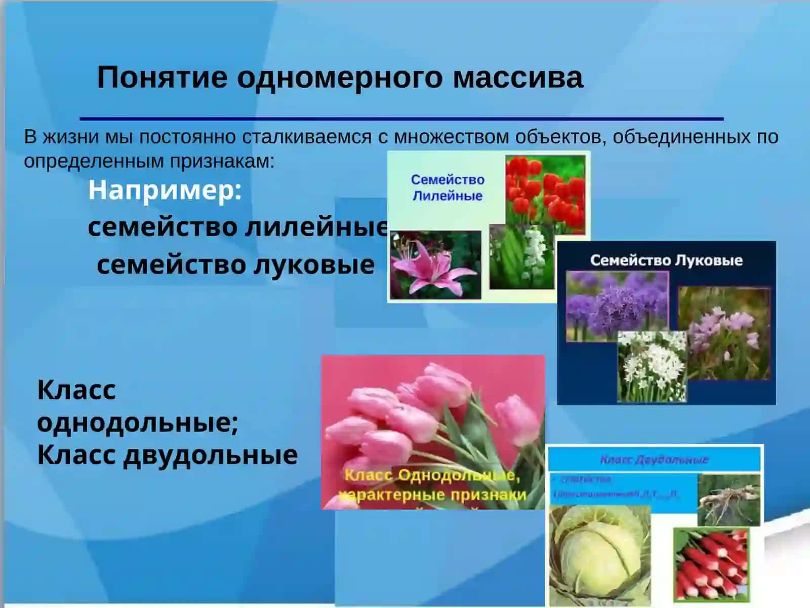 Работа массивами величинами на языкеPASCAL 3