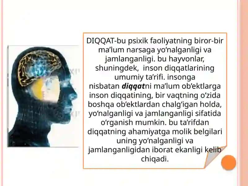 Diqqatning nerv-fiziologik asoslari 3