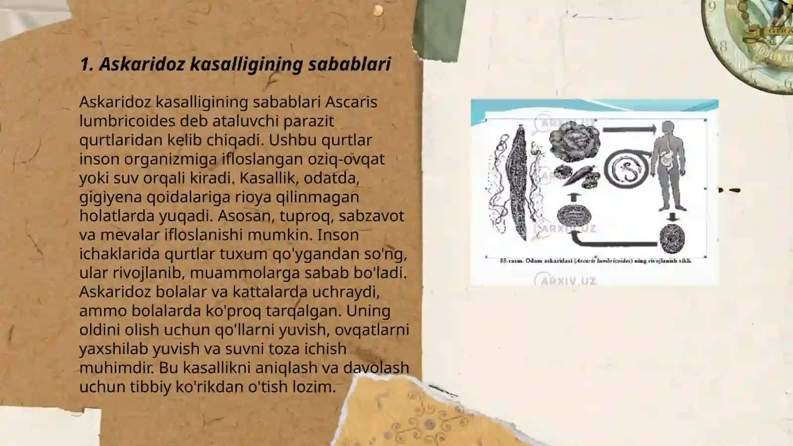 Askaridoz kasalligi va uning profilaktikasi 3