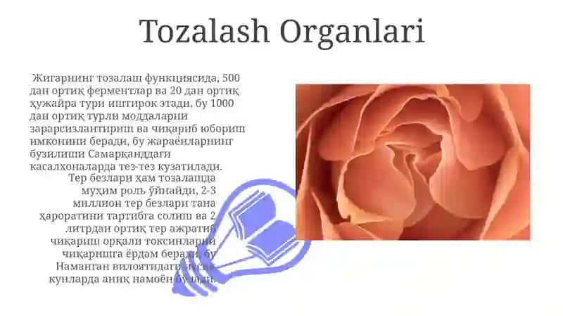 Gul va uning ichki tuzilishi 3