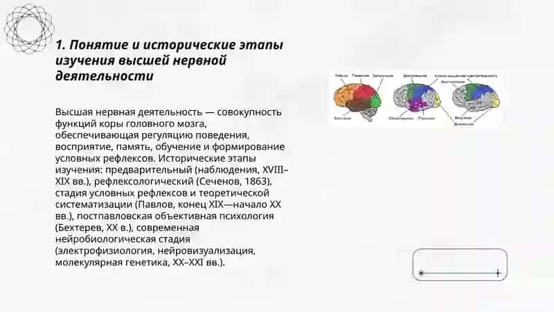 Высшая нервная деятельность 3
