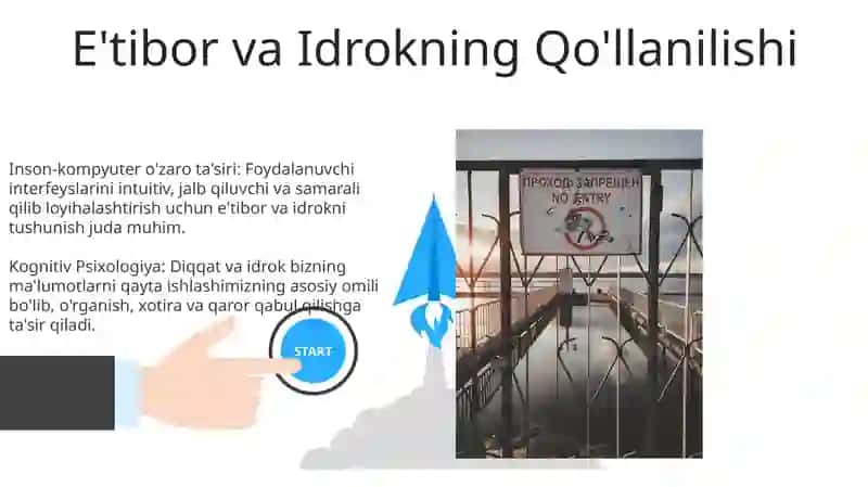 Diqqat va sezgi 3