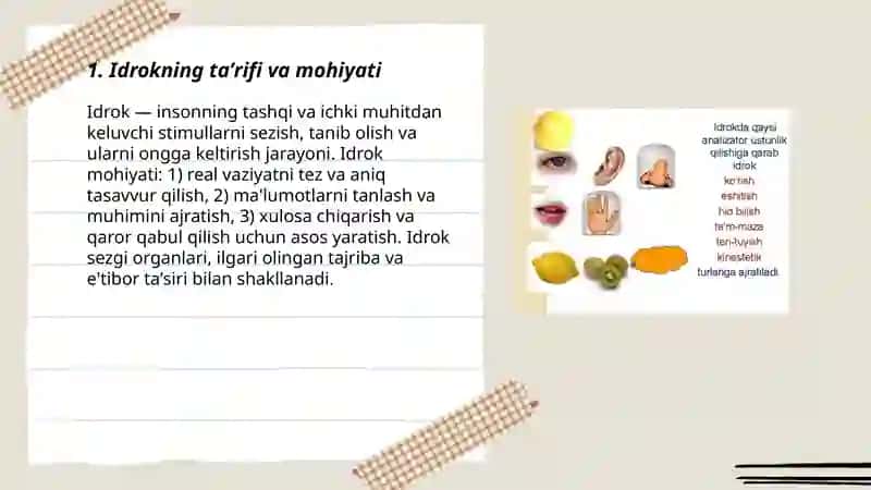 Idrok haqida tushuncha 3