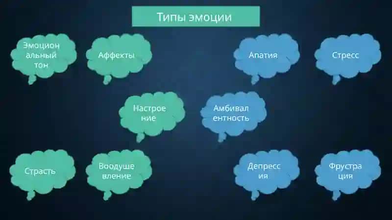Эмоции и мотивации, их специфика у детей 3