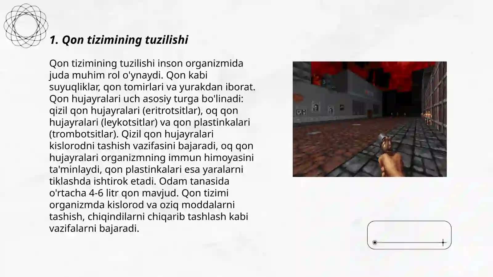 Qon tizimi 3