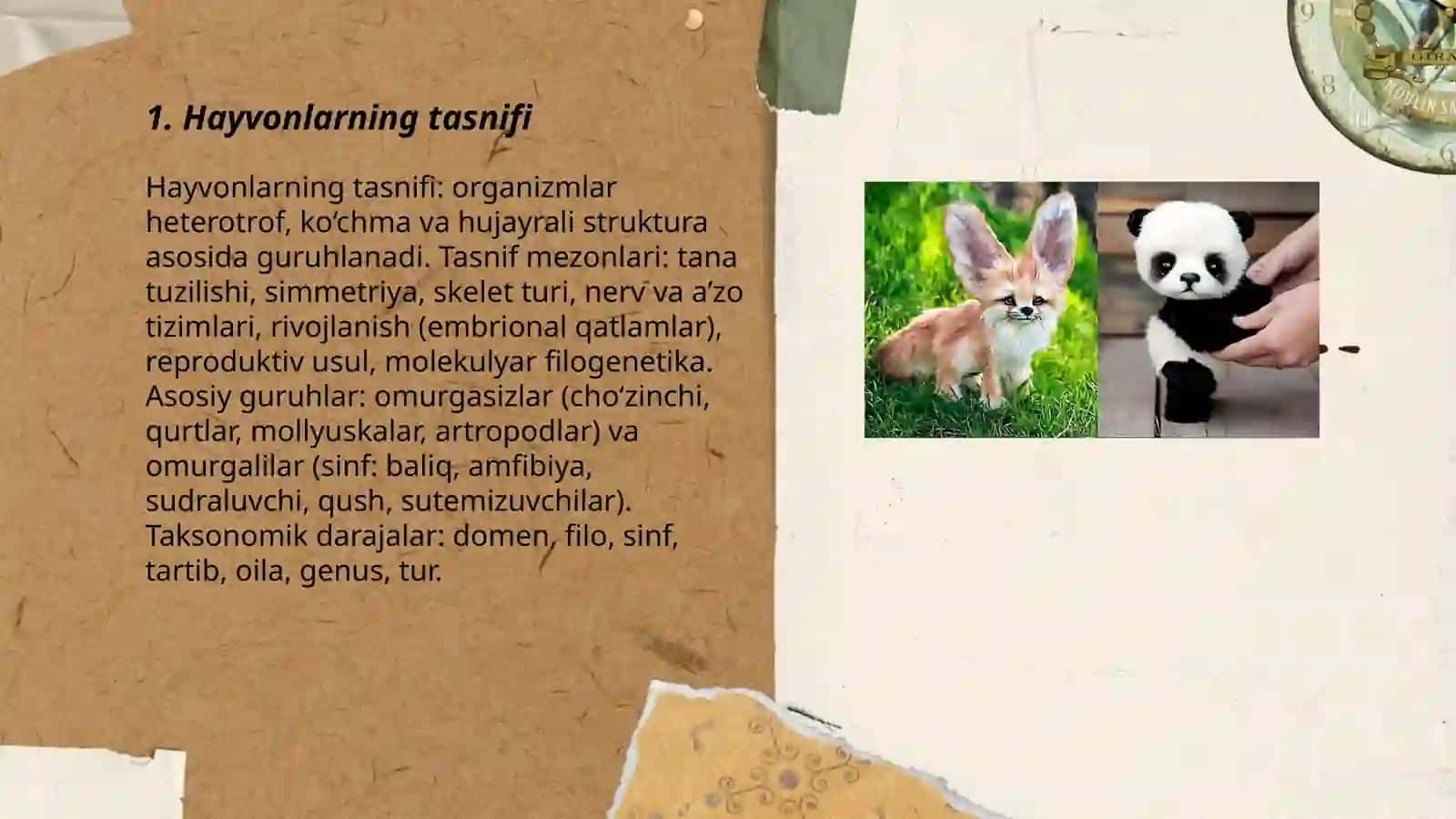 Hayvonlar 3