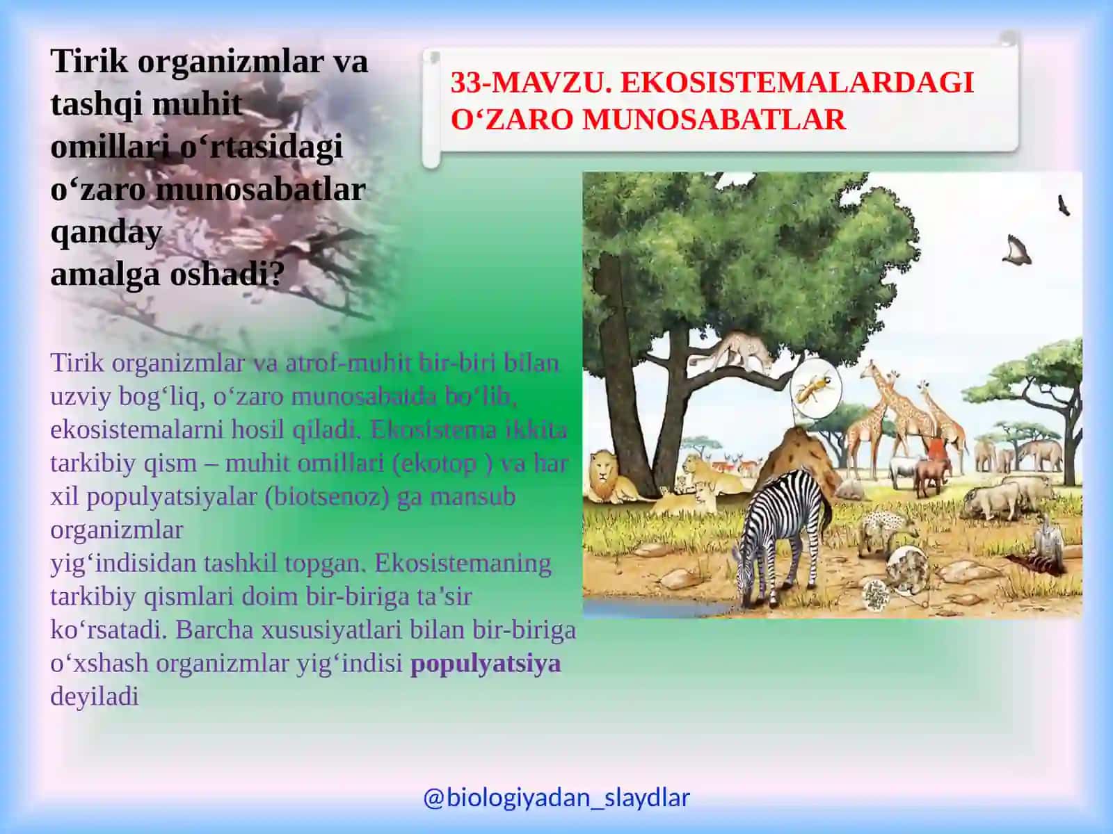 EKOSISTEMALARDAGI O‘ZARO MUNOSABATLAR 3