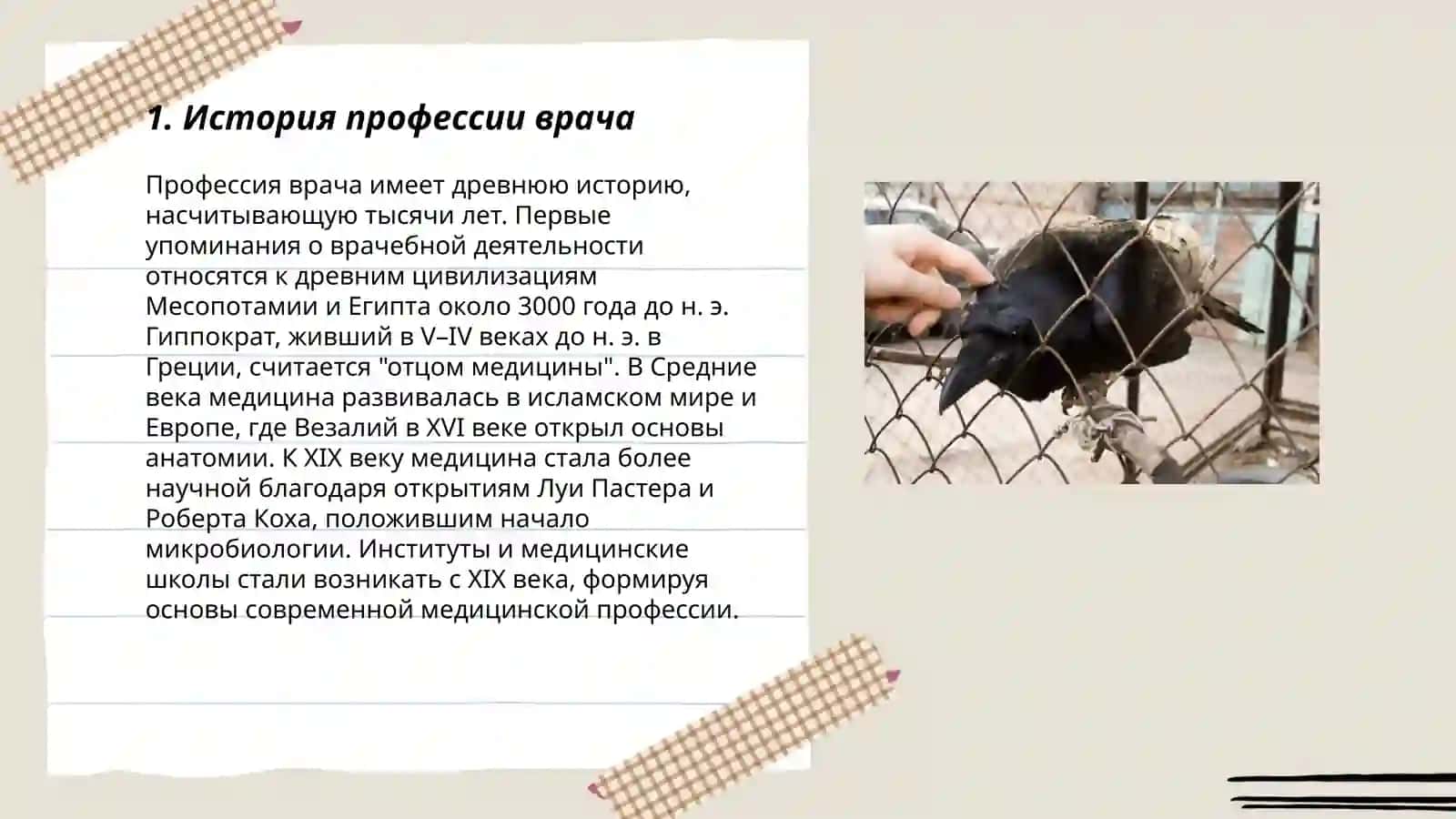 Моя профессия-доктор 3