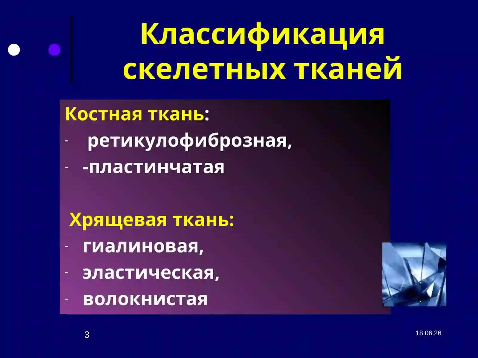 Лекция №6Скелетные ткани 3